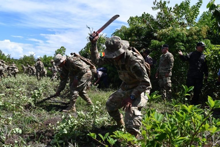 EMPIEZA LA ERRADICACIÓN DE COCA Y EL GOBIERNO REAFIRMA LA LUCHA FRONTAL CONTRA EL NARCOTRÁFICO