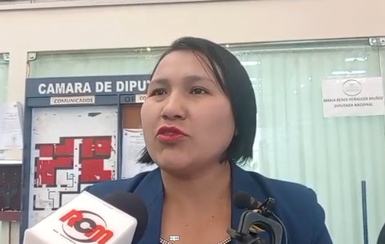SENADORA MARÍA ELENA PACHACUTE DESTACA PARTICIPACIÓN CIUDADANA EN LA JORNADA ELECTORAL