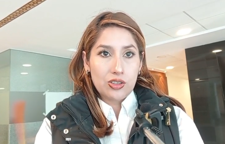 DIPUTADA DE LIBRE PIDE SANCIONES Y RECHAZA MILITARIZACIÓN EN YPFB