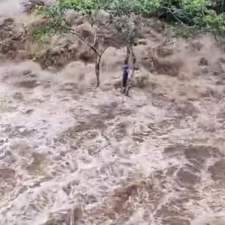LLUVIAS PERSISTEN EN EL PAÍS: LA PAZ ENFRENTA DERRUMBES, RÍOS CRECIDOS Y RUTAS COLAPSADAS