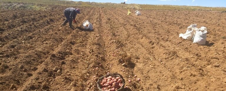 LEY 157 PERMITE A PRODUCTORES CONVERTIR SU PROPIEDAD DE PEQUEÑA A MEDIANA DE FORMA VOLUNTARIA Y GRATUITA