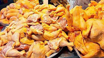 AVICULTORES ADVIERTEN SOBREOFERTA DE POLLO EN SANTA CRUZ Y POSIBLE ESCASEZ NACIONAL EN JUNIO