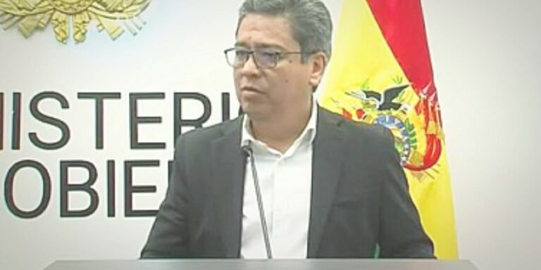 Gobierno informa que análisis descartan droga en cargamentos de madera y anuncia acciones tras informe oficial de Chile