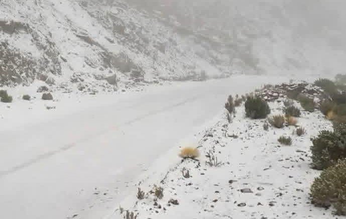 Potosí se declara en emergencia climática tras ser azotado por intensas nevadas y fuertes vientos