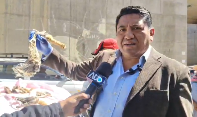 Carne de perro y zorro en feria de El Alto: biocidio y atentado a la salud pública